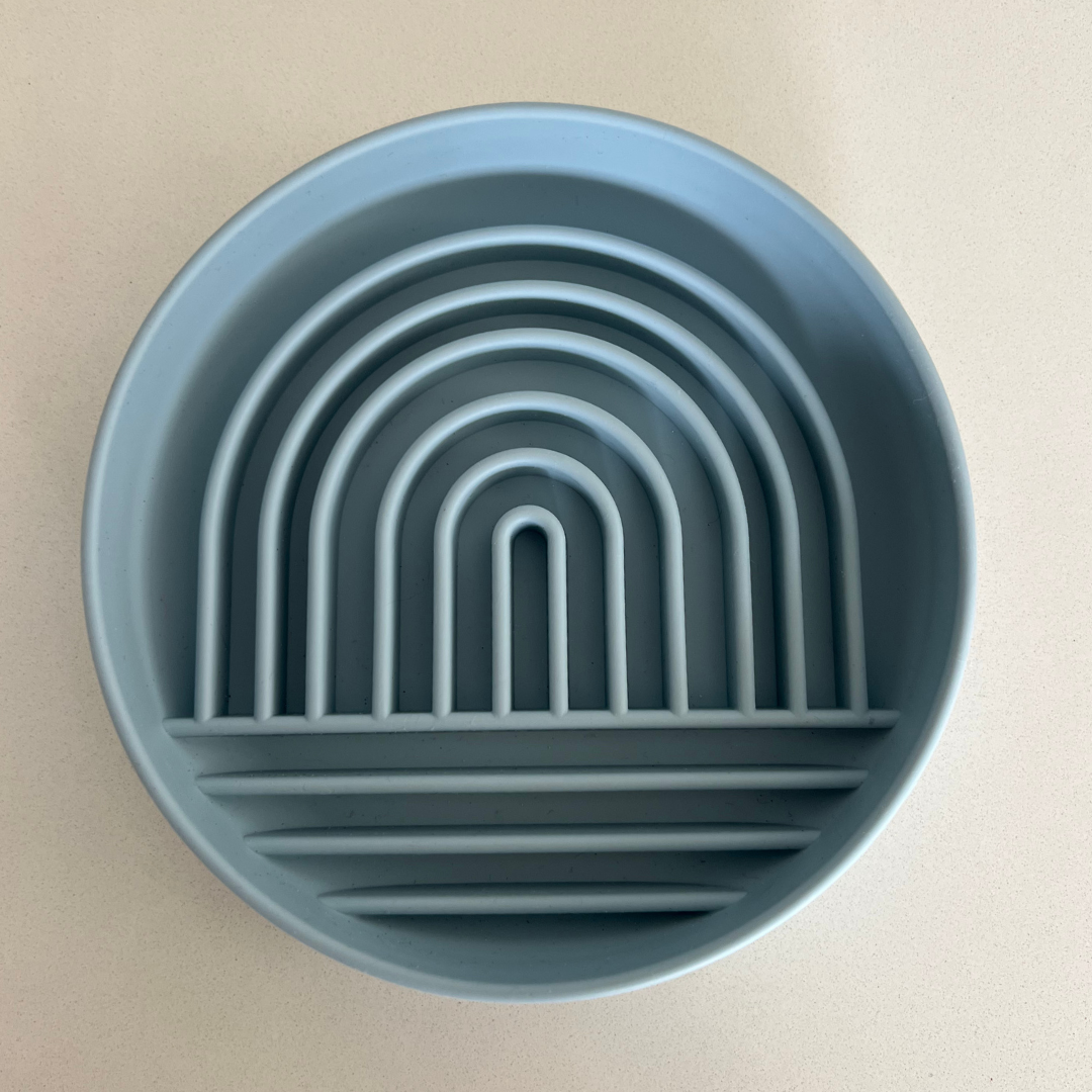 Slow Feed Rainbow Bowl