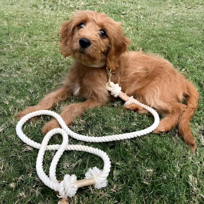 Handmade Cotton Dog Leash