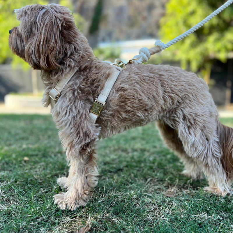 Handmade Cotton Dog Leash