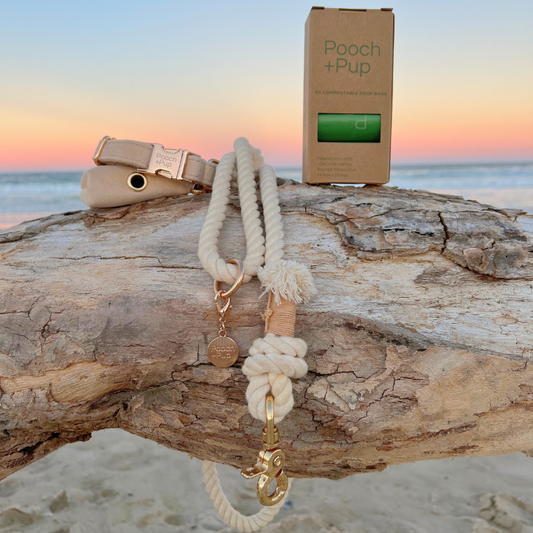 Walking Bundle with Collar