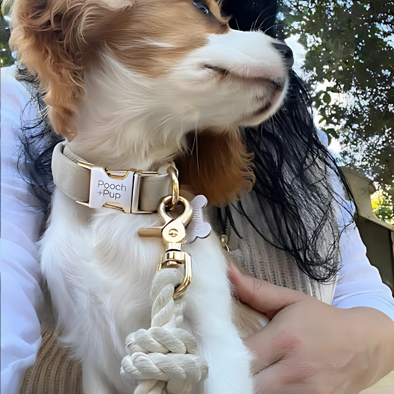 Handmade Cotton Dog Leash
