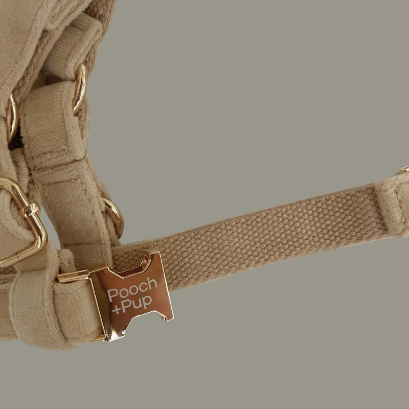 Soft Neutral Adjustable Harness