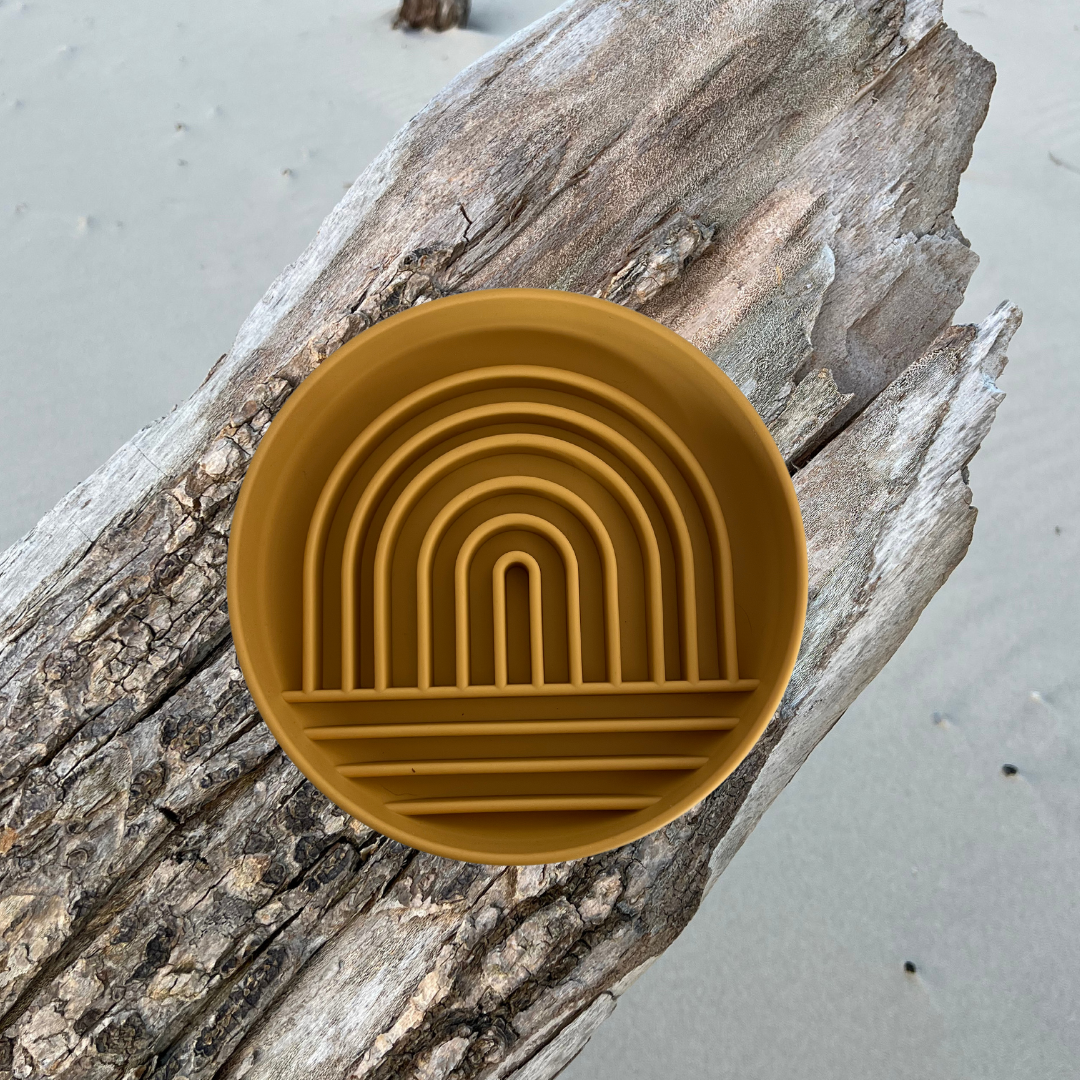 Slow Feed Rainbow Bowl