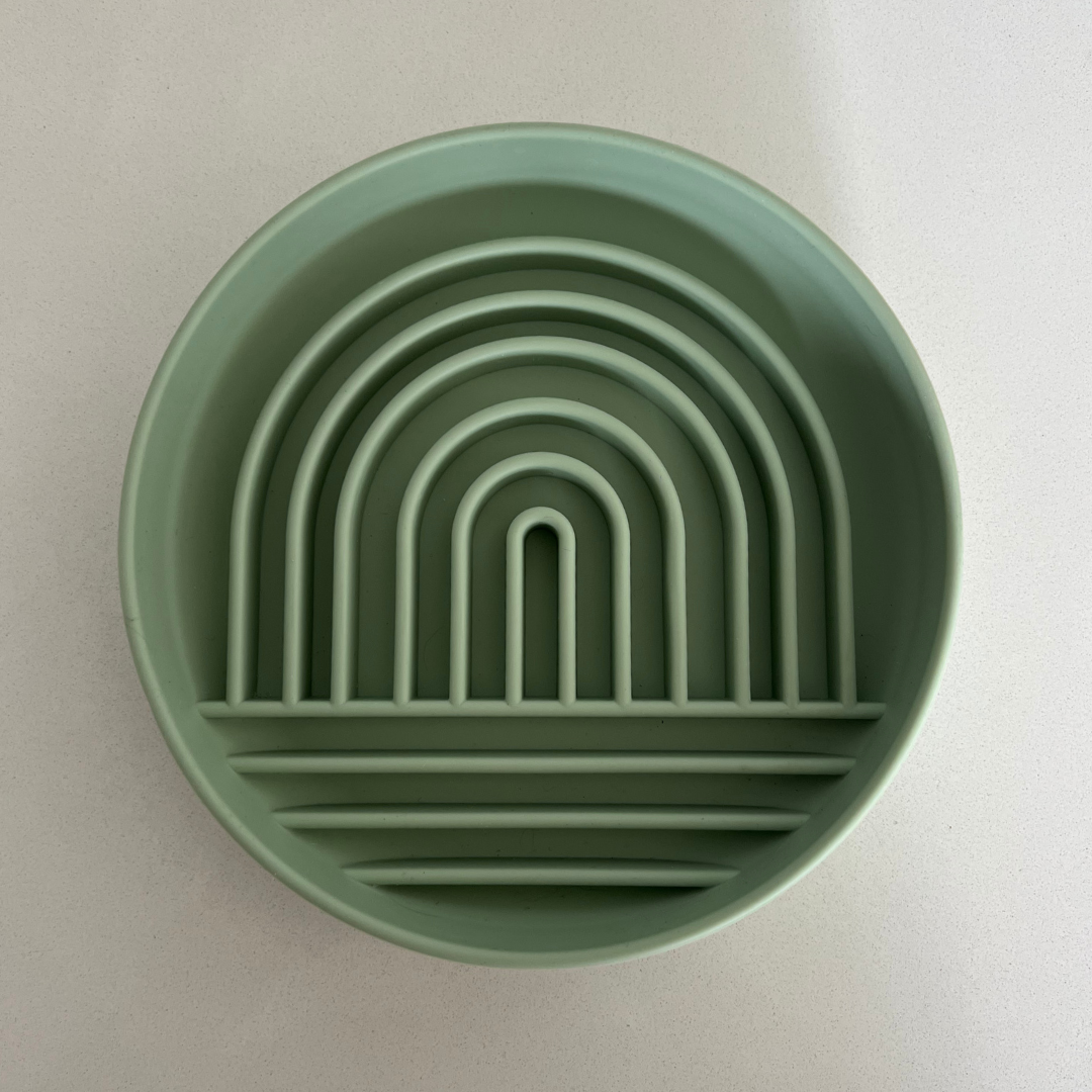 Slow Feed Rainbow Bowl