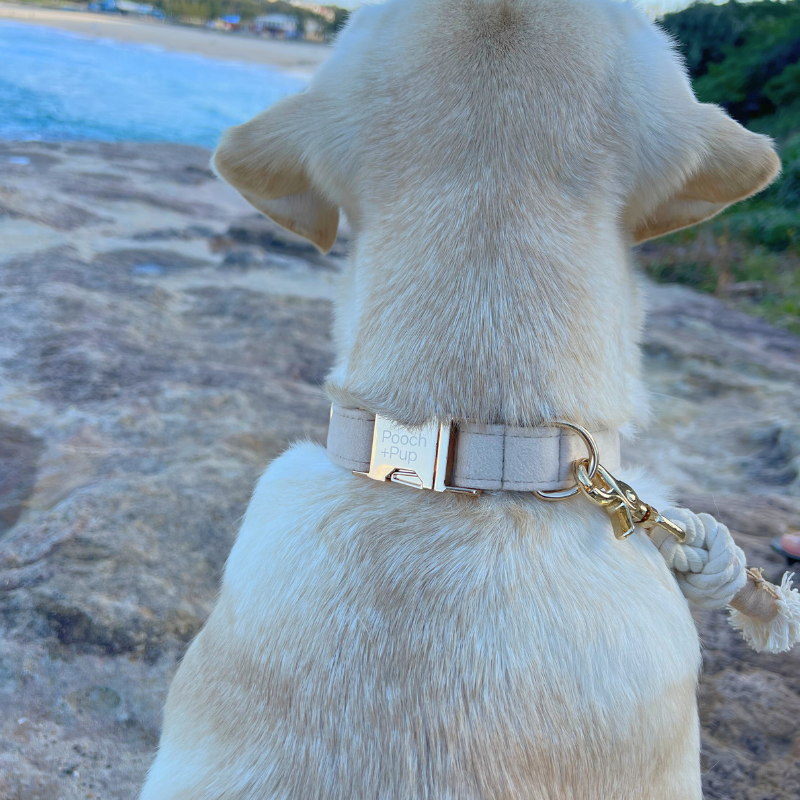 Soft Neutral Adjustable Collar