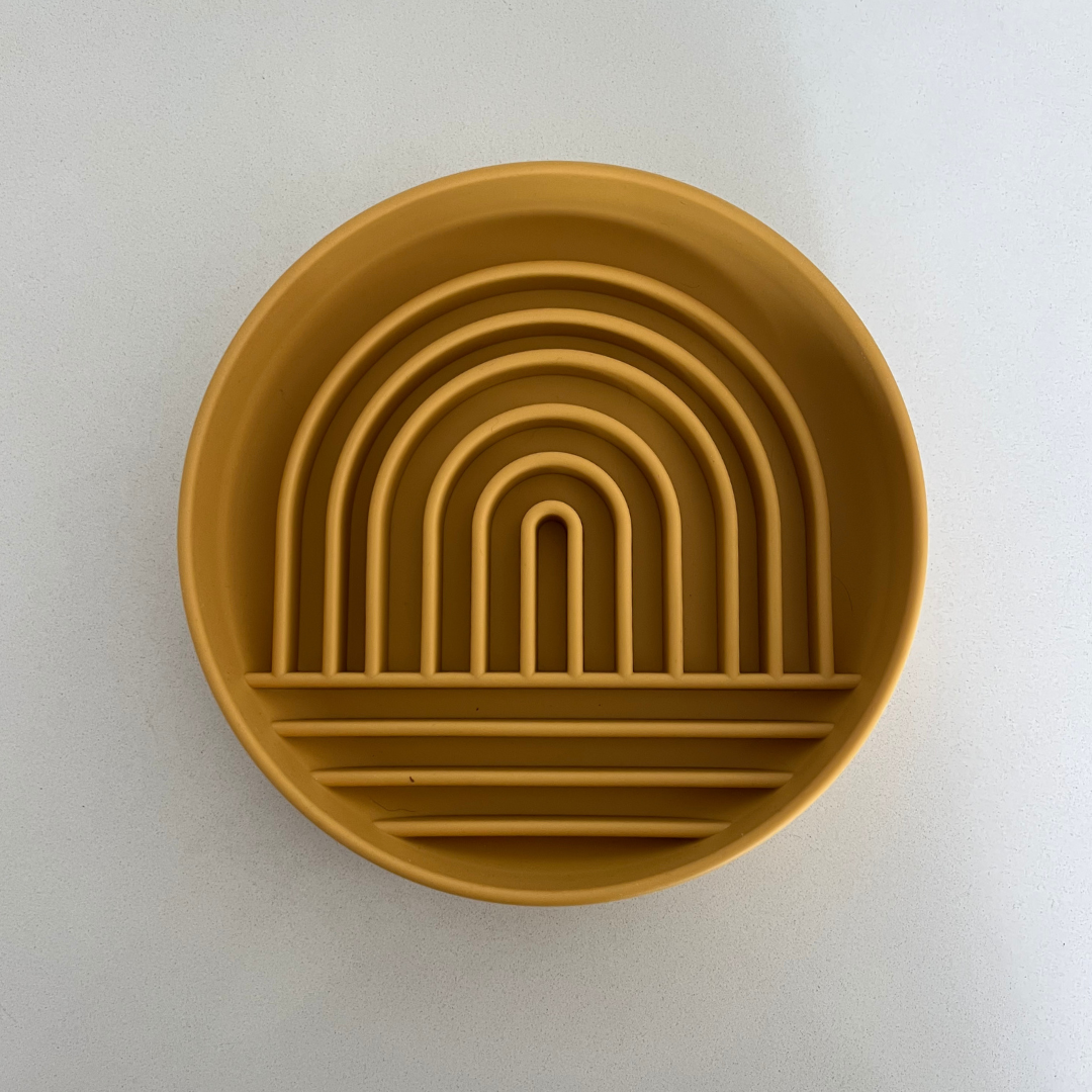 Slow Feed Rainbow Bowl