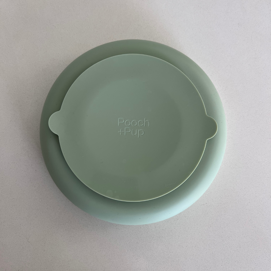 Slow Feed Rainbow Bowl