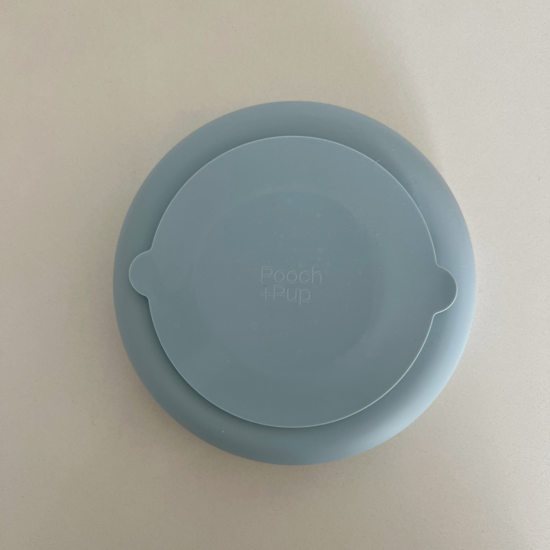 Slow Feed Rainbow Bowl