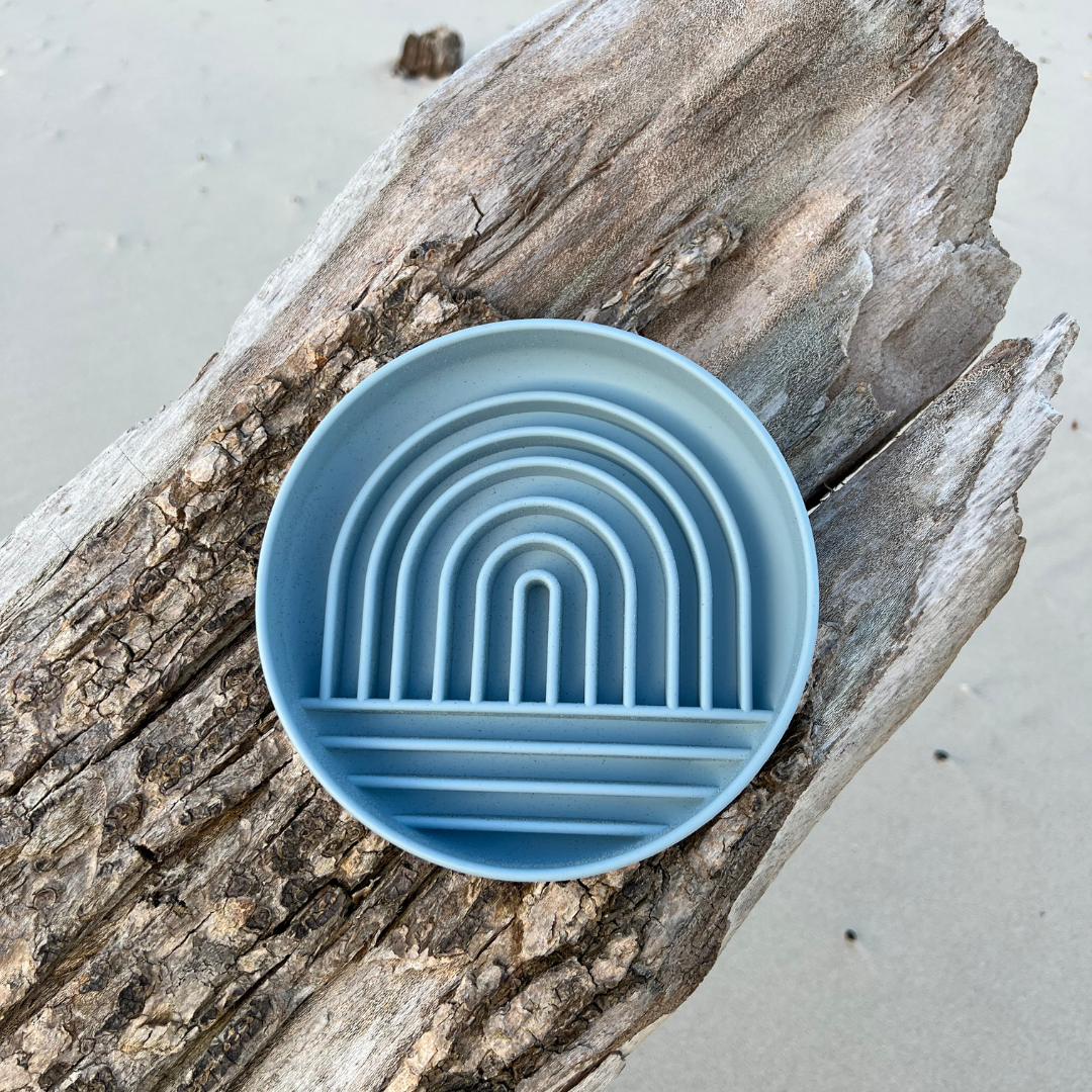 Slow Feed Rainbow Bowl