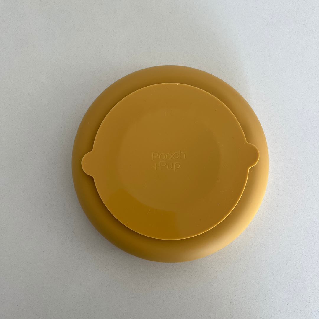 Slow Feed Rainbow Bowl