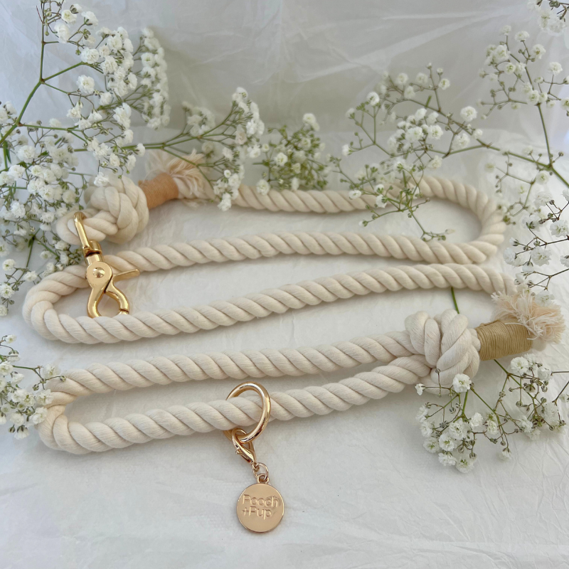 Wedding Bundle with Harness