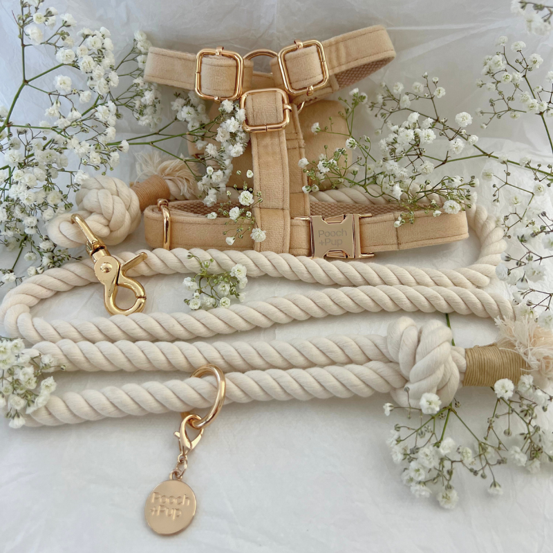 Wedding Bundle with Harness